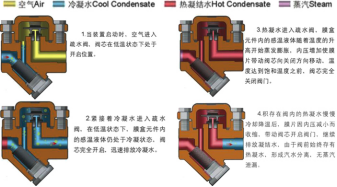 進口膜盒式疏水閥