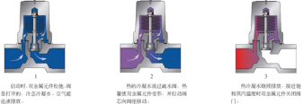 進口雙金屬溫調式蒸汽疏水閥